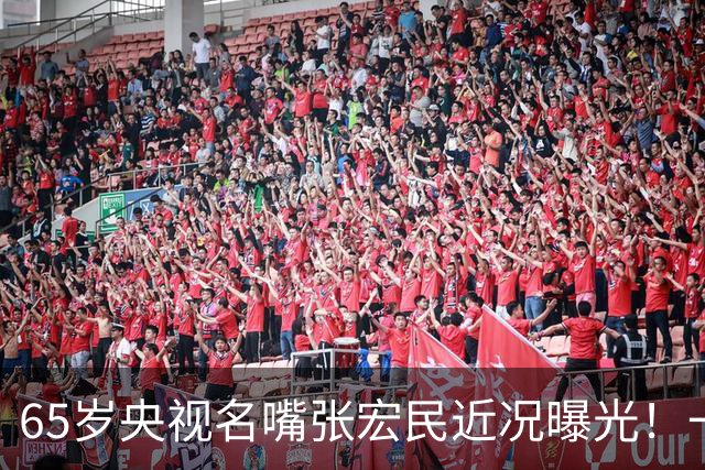 65岁央视名嘴张宏民近况曝光！一生未婚没有孩子，如今退休独居北京让人唏嘘